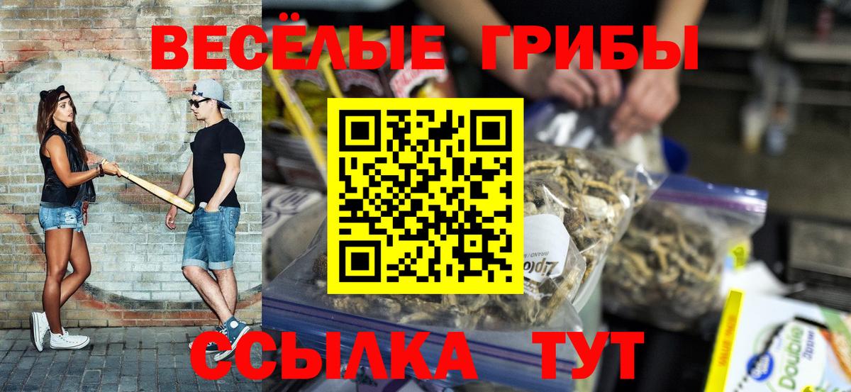 Галлюциногенные грибы GOLDEN TEACHER  Вход с VPN  Ярцево  Галлюциногенные грибы Psilocybe 